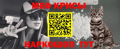 мяу мяу мука Будённовск