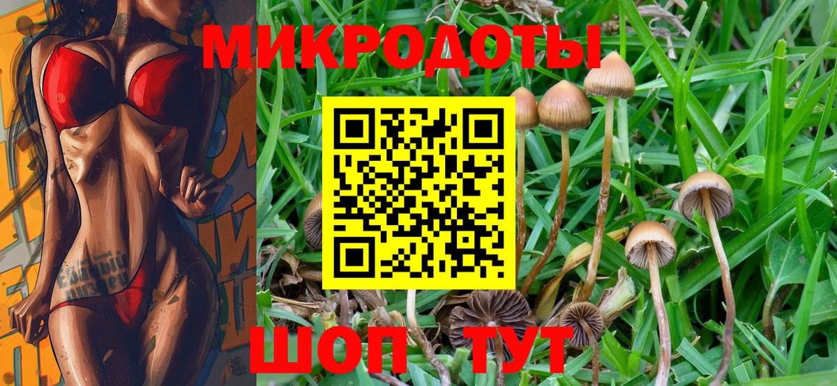 Псилоцибиновые грибы Magic Shrooms  Вход с VPN  Копейск 